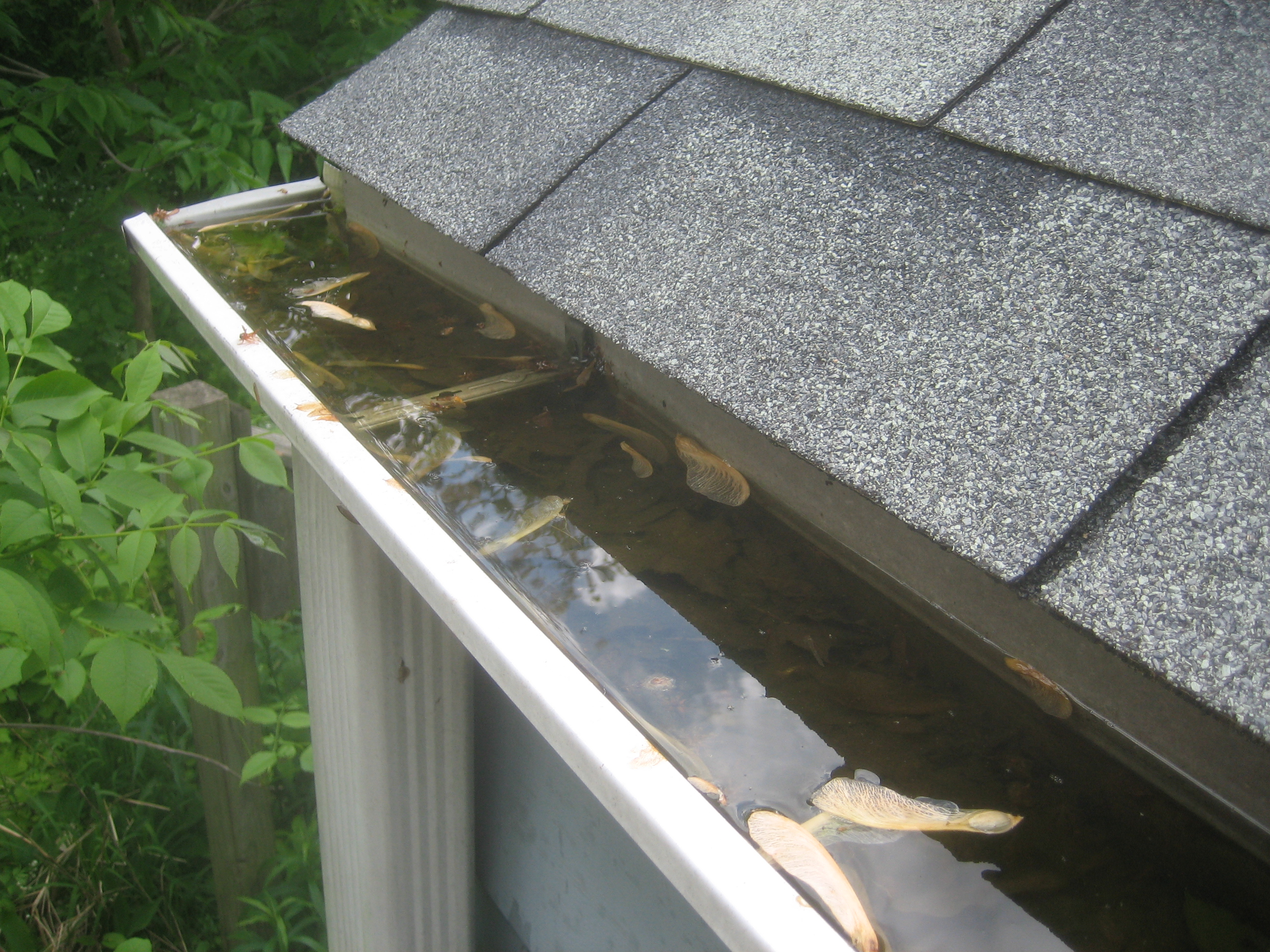 Gutter Clearance