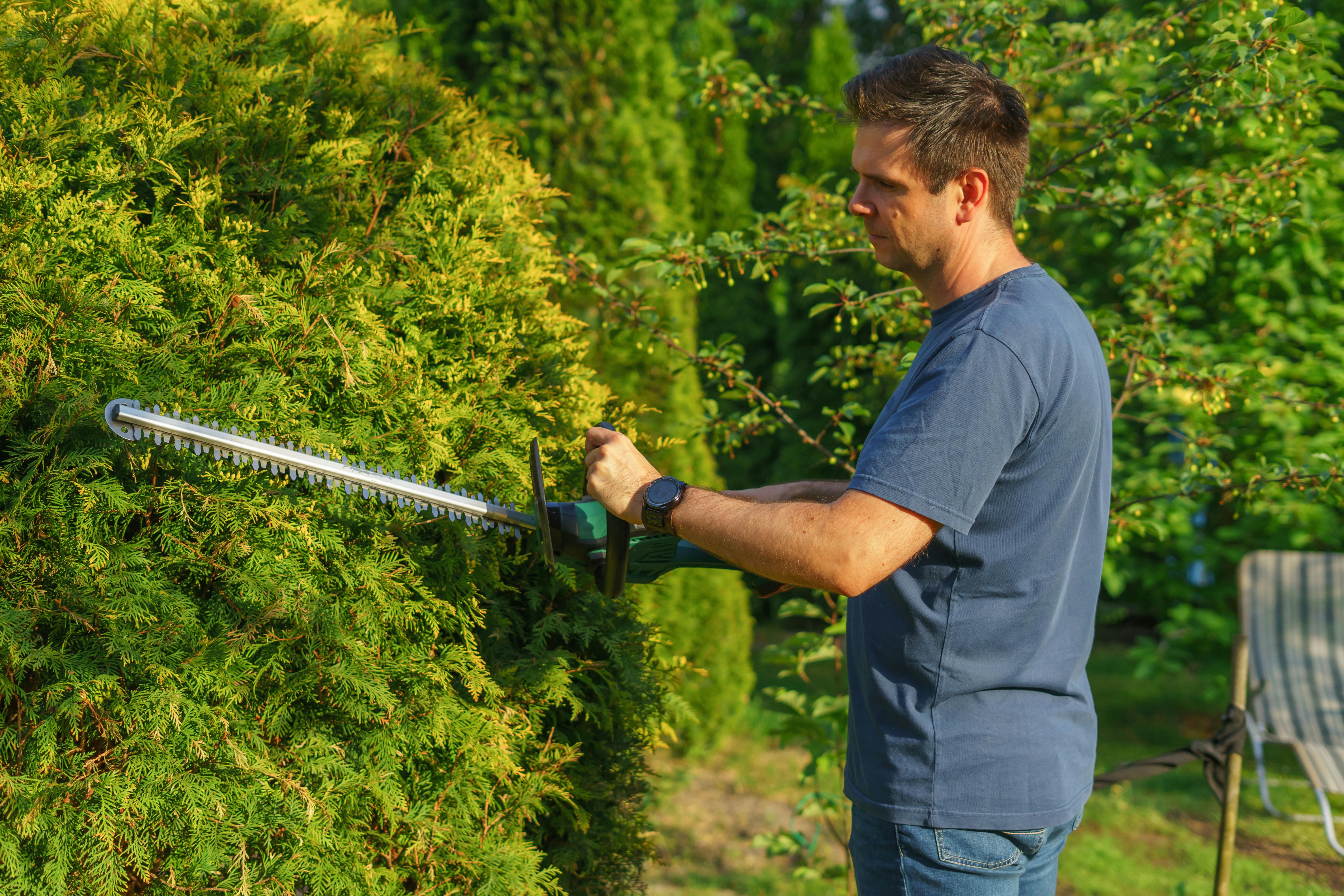 Hedge Cutting
