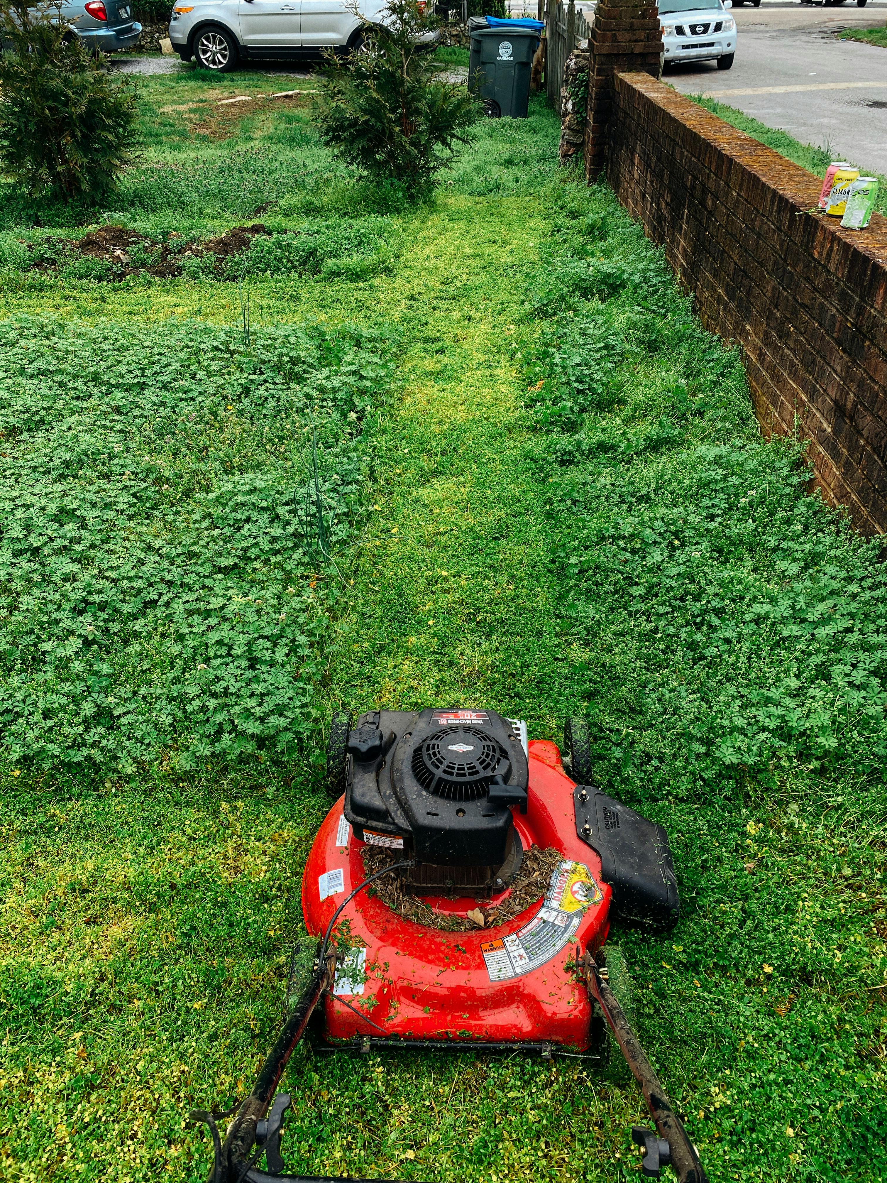 Lawn Mowing