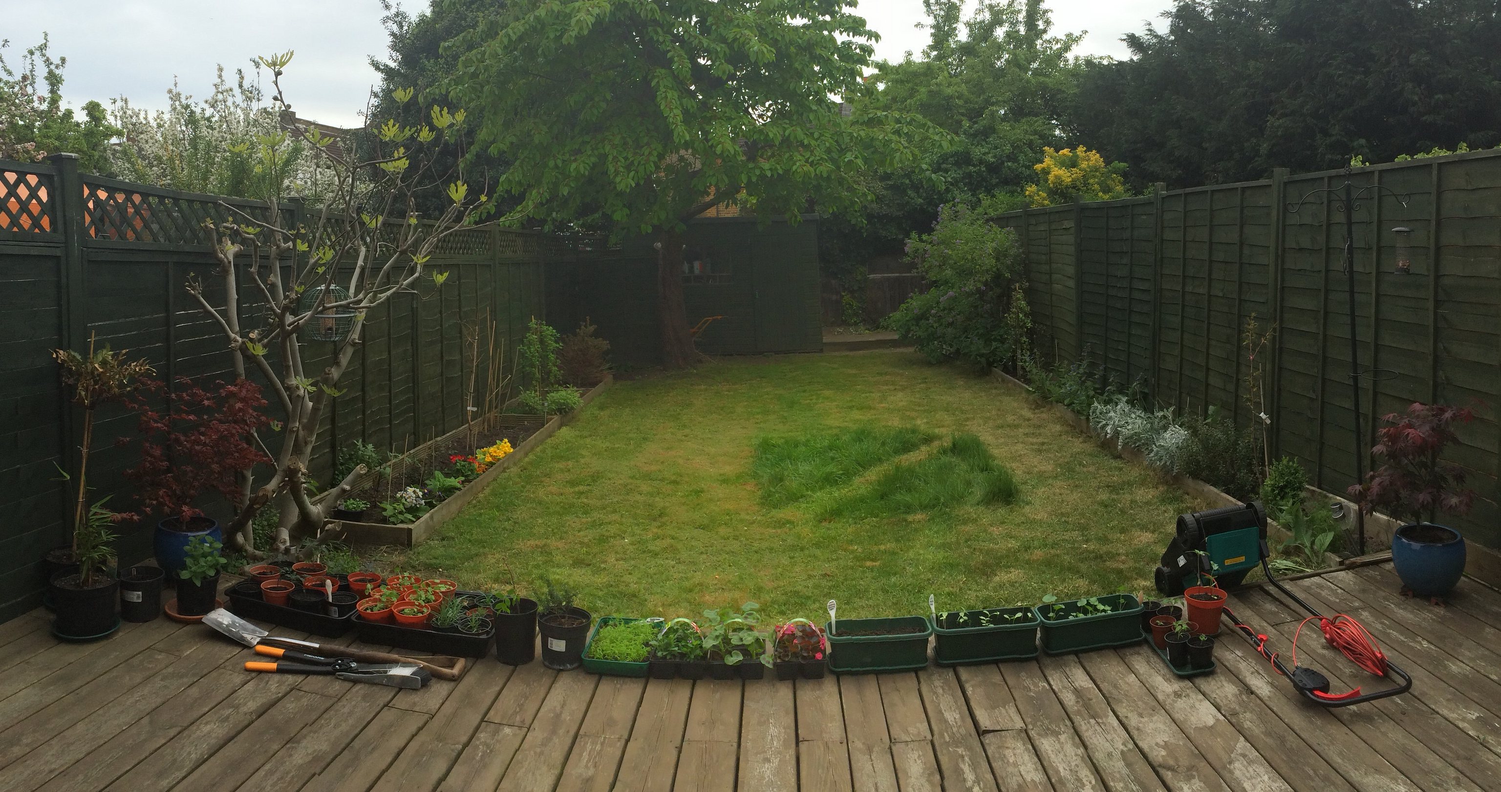Garden